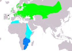 Map showing the breeding regions of Crex crex (most of Europe and South-Siberian Russia up to Mongolia), and their winter migration region (South-West Africa).