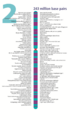 Human chromosome 02 from Gene Gateway - with label.png