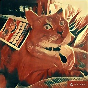 Prisma (app) image of a cat.jpg