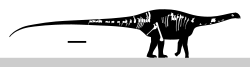 Demandasaurus Skeletal.svg
