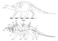 Struthiosaurus austriacus.jpg