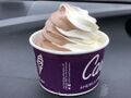 2020-03-16 16 48 45 Small serving of chocolate-vanilla soft-serve ice cream at the Carvel off of Denow Road in Hopewell Township, Mercer County, New Jersey.jpg