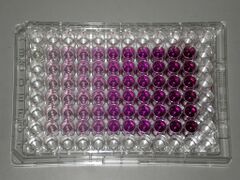 A microplate with liquids in a range of red colors