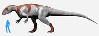 Yangchuanosaurus NT small.jpg