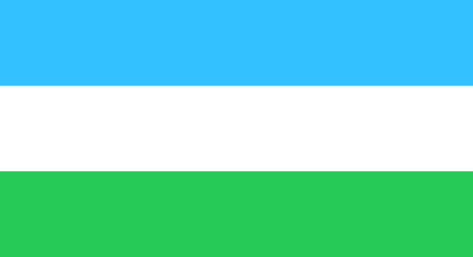 File:Flag of the Tihamah Resistance.svg