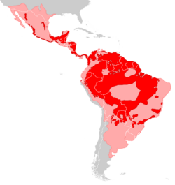Panthera onca distribution.svg