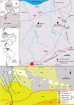 San Gregorio Formation Map.webp