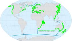 World map ocean genus-Zostera.jpg