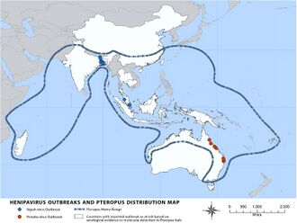 A map of Madagascar, Asia, and Oceania. Madagascar, Southern and Southeast Asia, and most of Oceania is delimited as flying fox distribution. The northeast coast of Australia shows small red icons that indicate Hendra virus outbreaks. South and Southeast Asia has several blue icons that indicate Nipah virus outbreaks.