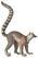 FMIB 46849 Primates Maki Moccoe Lemur catta (white background).jpeg
