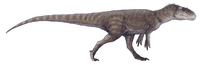 Gasosaurus constructus.png