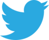 Twitter bird logo 2012.svg