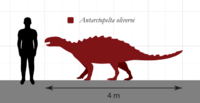 Antarctopelta_Size_Comparison