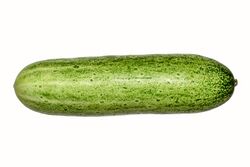Cucumber BNC.jpg