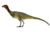 Chilesasaurus.png