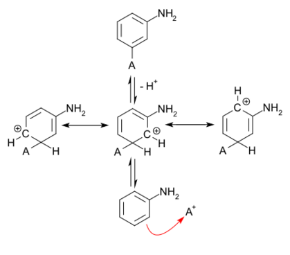 resonance structures for meta attack of an electrophile on aniline