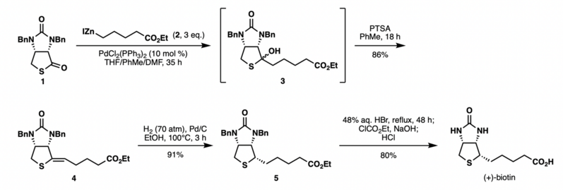 Biotin synthesis utilizing Fukuyama coupling