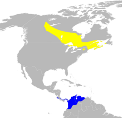 Dendroica castanea map.svg