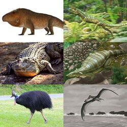 Archosauriformes.jpg