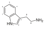 Tryptamine structure.svg