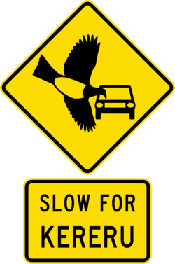 yellow and black traffic sign depicting flying bird