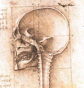 View of a Skull III.jpg