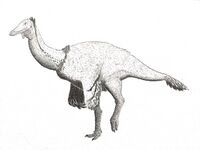 Paraxenisaurus normalensis as Deinocheirid.jpg