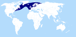 Distribution of Atlantic salmon.svg