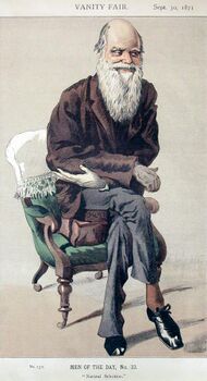 Full-length portrait of a very thin white-bearded Darwin, seated but leaning eagerly forward and smiling