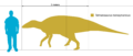 Telmatosaurus Scale.svg