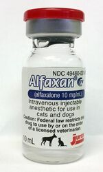 Bottle of Alfaxan; contains an opaque white liquid