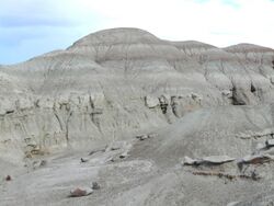 Uinta Formation, Uintah County, Utah.jpg
