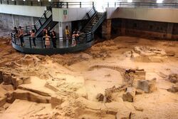 Gisement-fossilifère- du musée de Zigong.jpg