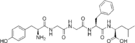 Chemical structure of Leu-enkephalin.