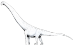 Aegyptosaurus LM.png