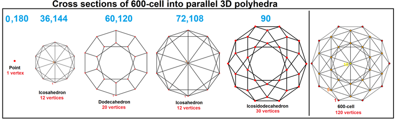 File:600-cell-polyhedral levels.png