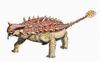 PinacosaurusDB154.jpg
