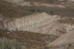 Mascall Formation near Picture Gorge.jpg
