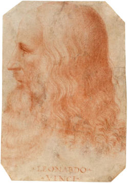 Francesco Melzi - Portrait of Leonardo.png
