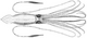 Architeuthis princeps image modified.PNG