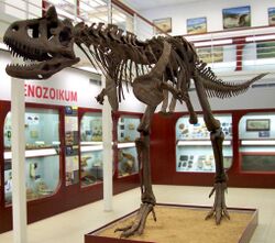 Carnotaurus, Chlupáč Museum, Prague-2.jpg