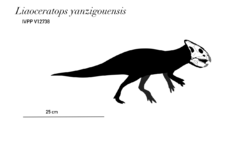 Liaoceratops skeletal.png