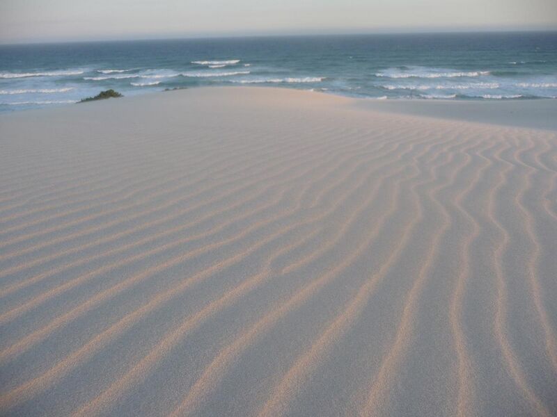 File:Sand dune ripples.jpg