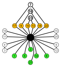 Symmetric group 4; cycle graph.svg