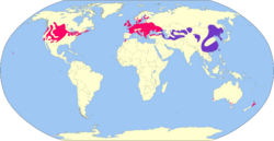 Phasianus colchicus map.svg