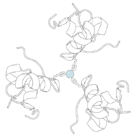 Black-and-white ribbon diagram of a pig insulin hexamer, showing its characteristic quaternary structure. At the center is a pale blue-gray sphere representing a zinc atom.