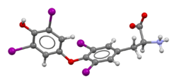 Levothyroxine-from-xtal-3D-bs-17.png