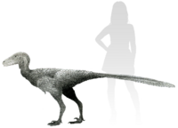 Life reconstruction of Stenonychosaurus.png