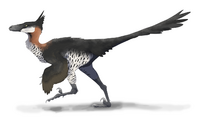 Saurornithoides restoration.png