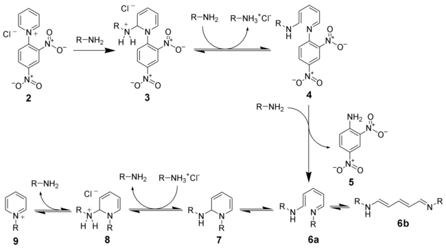 The mechanism of the Zincke reaction